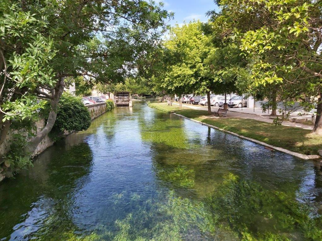 Gite Dans Les Pins Avec Piscine Villa Mazan Exterior photo