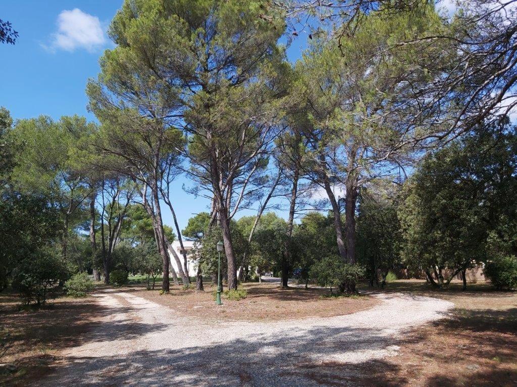 Gite Dans Les Pins Avec Piscine Villa Mazan Exterior photo
